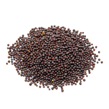Mustard Seeds /lb