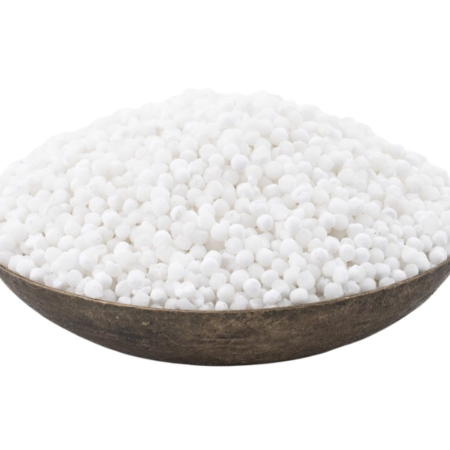 Sago Seeds /lb