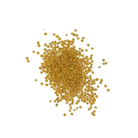 Mustard Seeds Gold