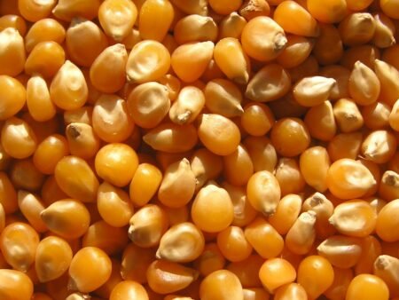 Corn (Makai) /lb