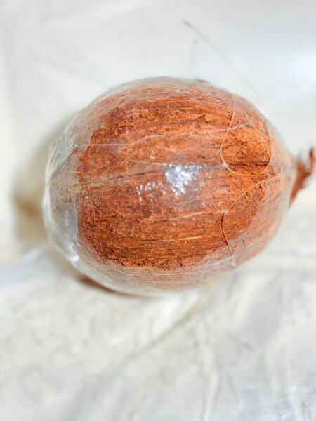 Whole Coconut (Each)