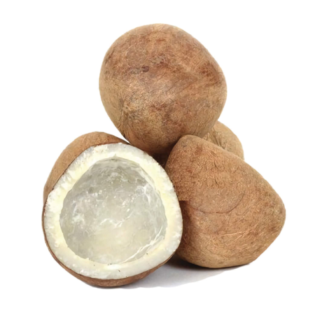 Copra Coconut 2pc